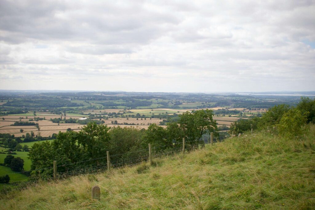 The Best Dog-Friendly Walks Near Pettifers Hotel