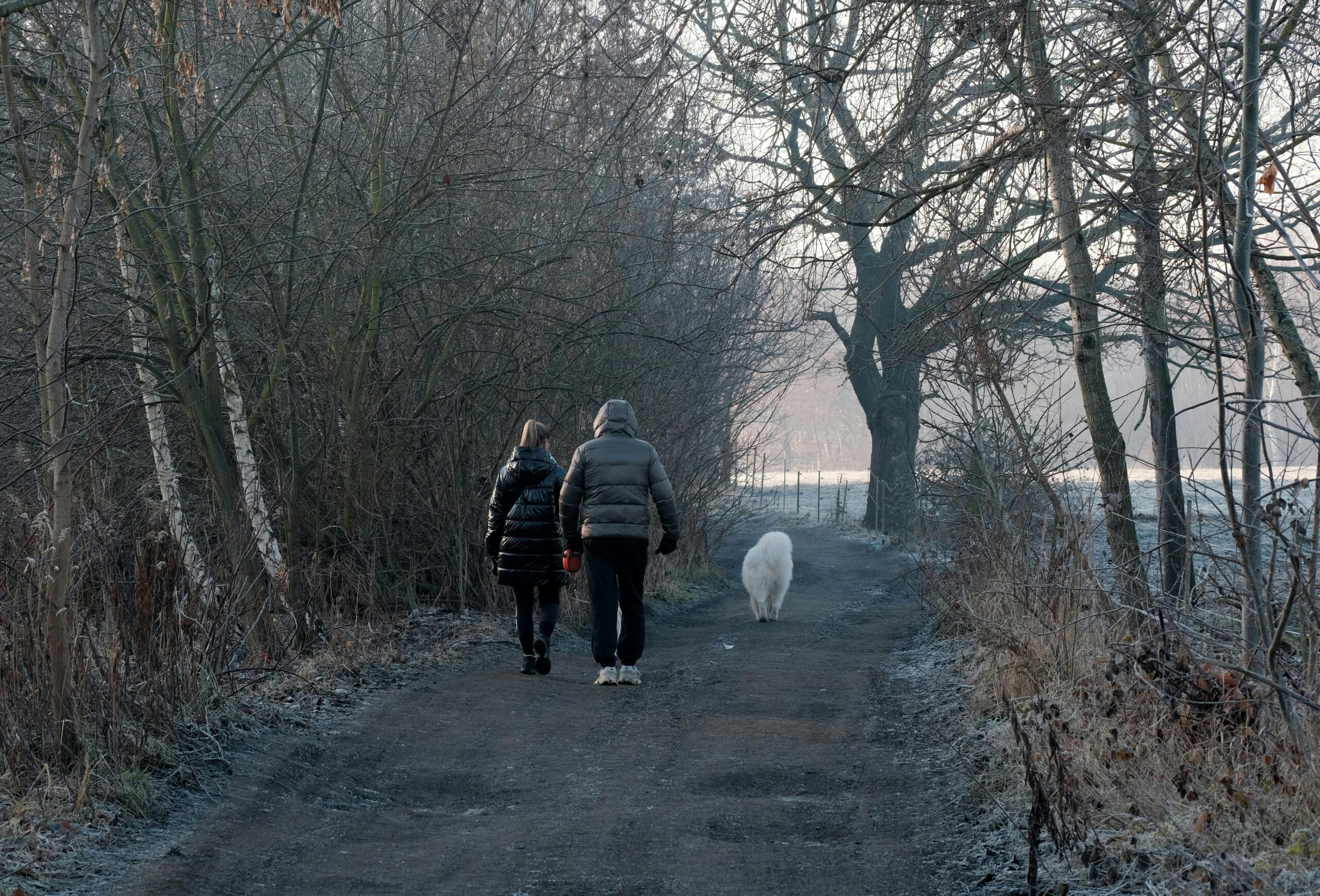 Dog-Friendly Walks