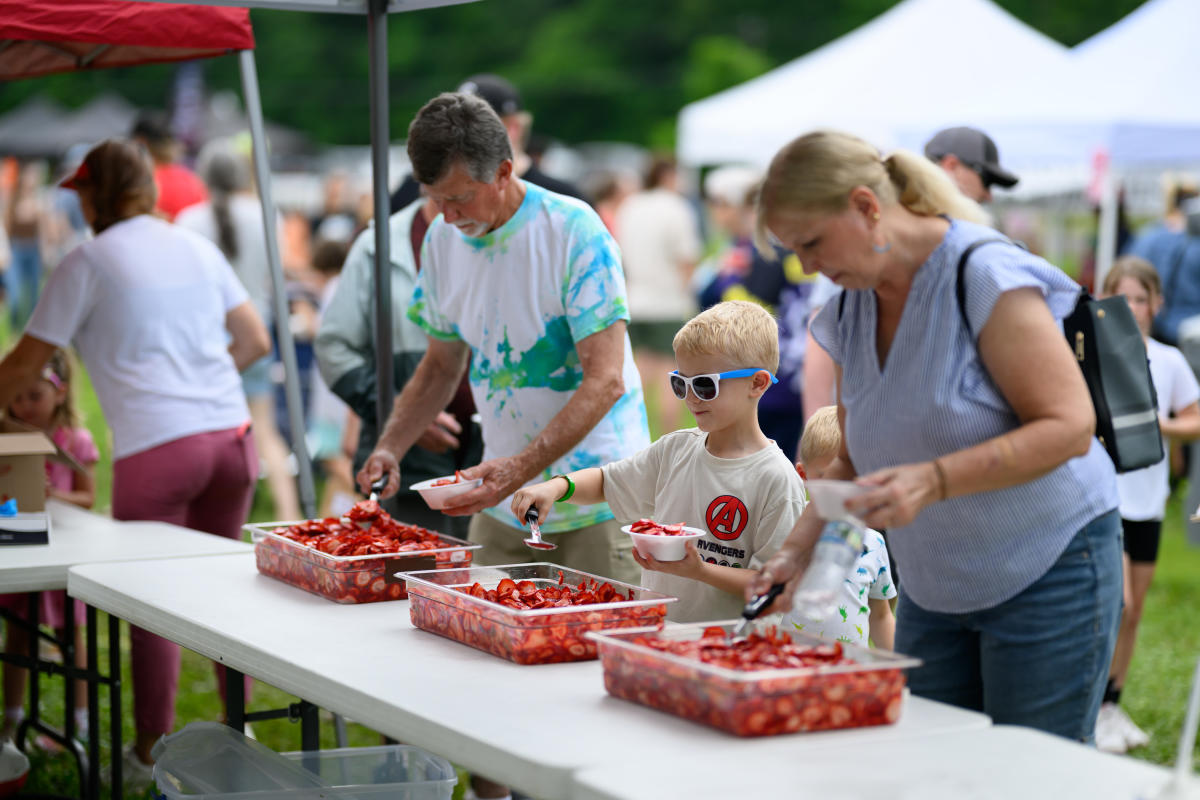 Strawberry festival