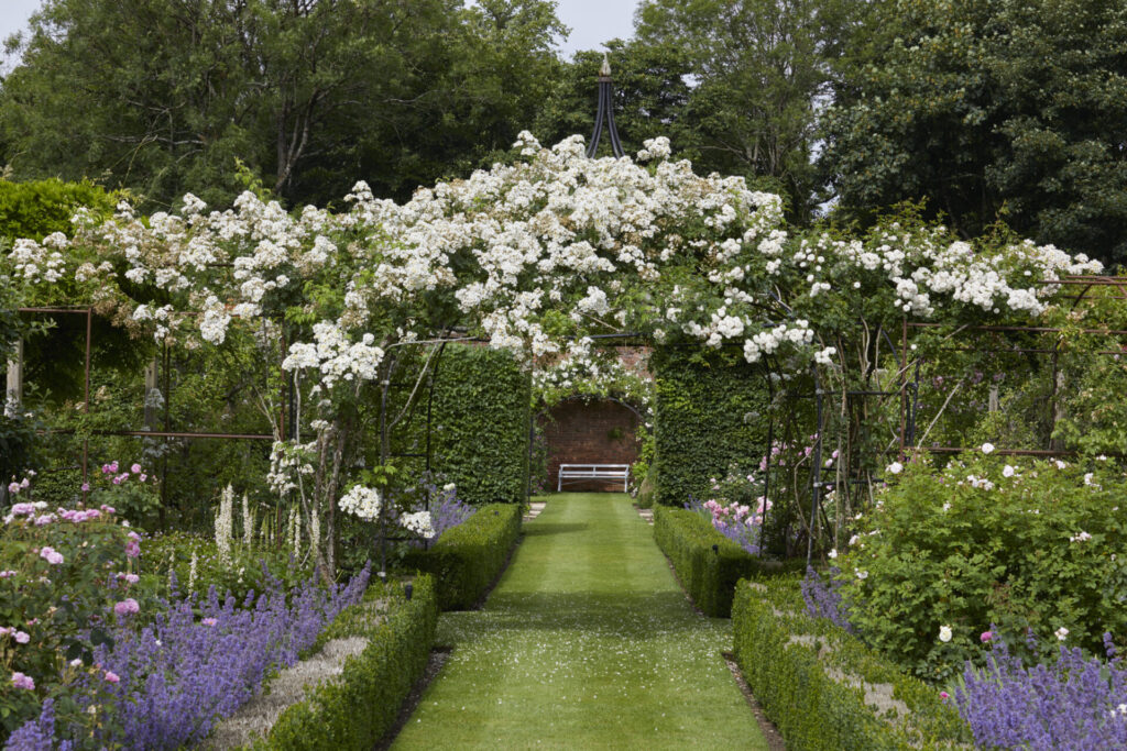 flower landscape