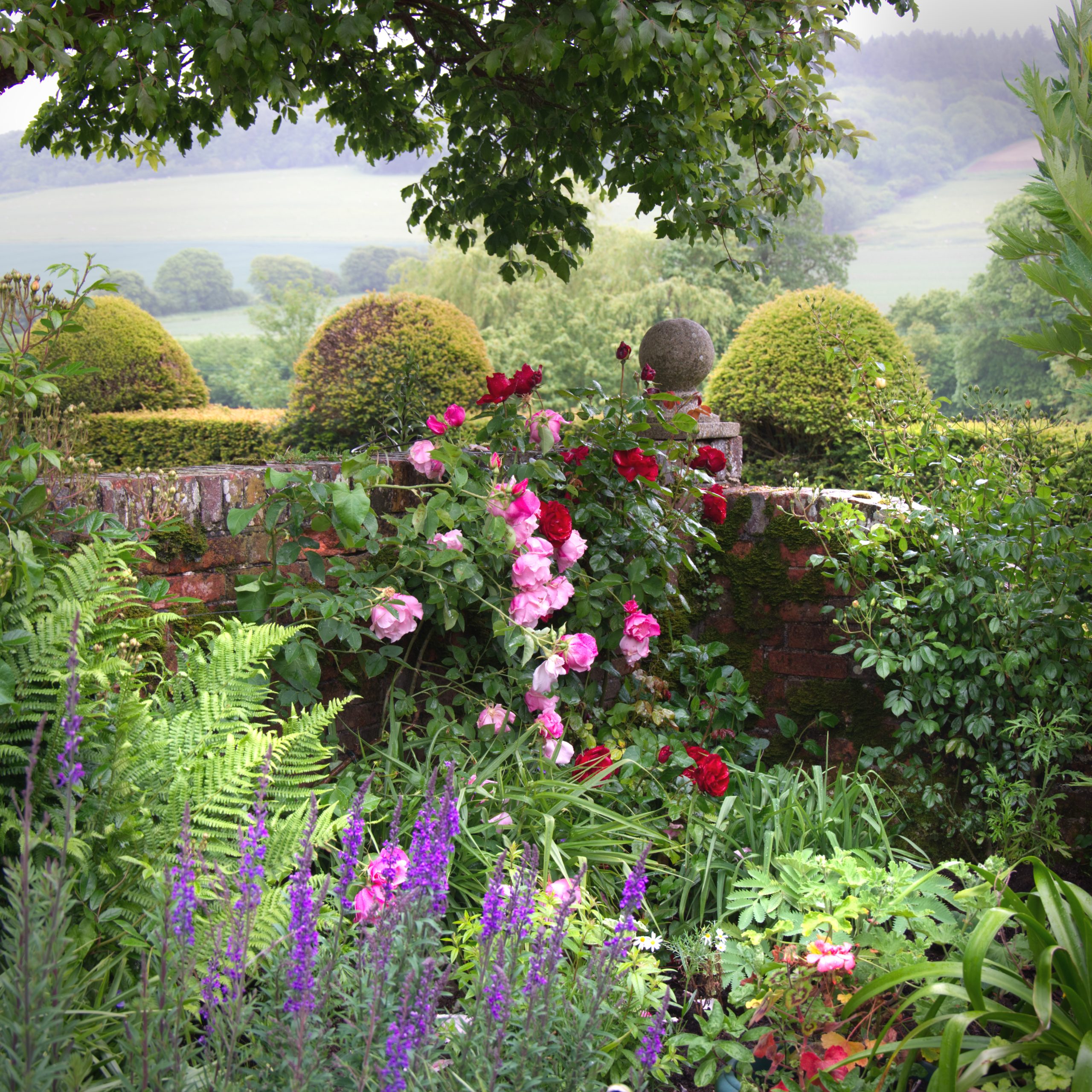 open garden