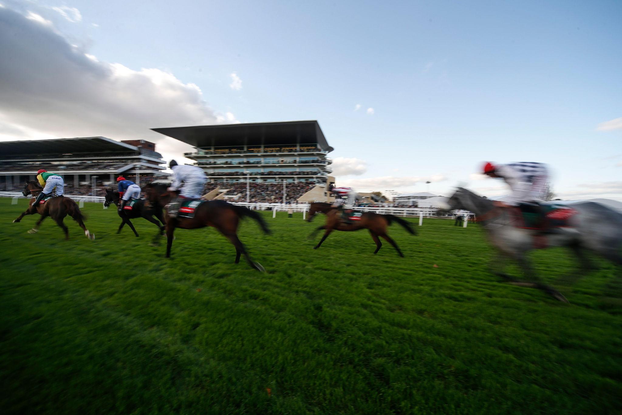 Home 8 horse racing